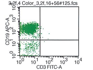 CD19 VS CD3